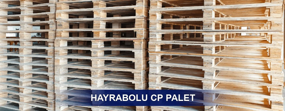 Hayrabolu Standart Tipler